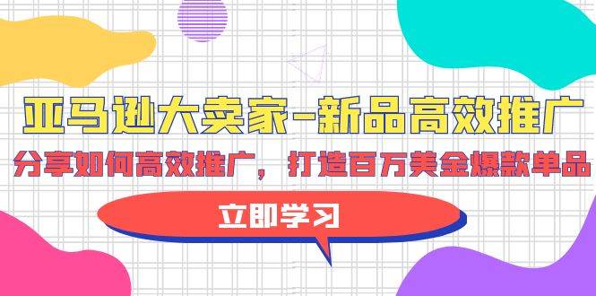 亚马逊 大卖家-新品高效推广，分享如何高效推广，打造百万美金爆款单品-刀客资源网