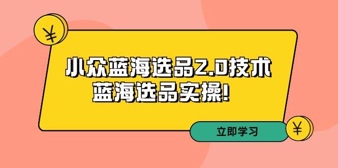 拼多多培训第33期：小众蓝海选品2.0技术-蓝海选品实操！-刀客资源网