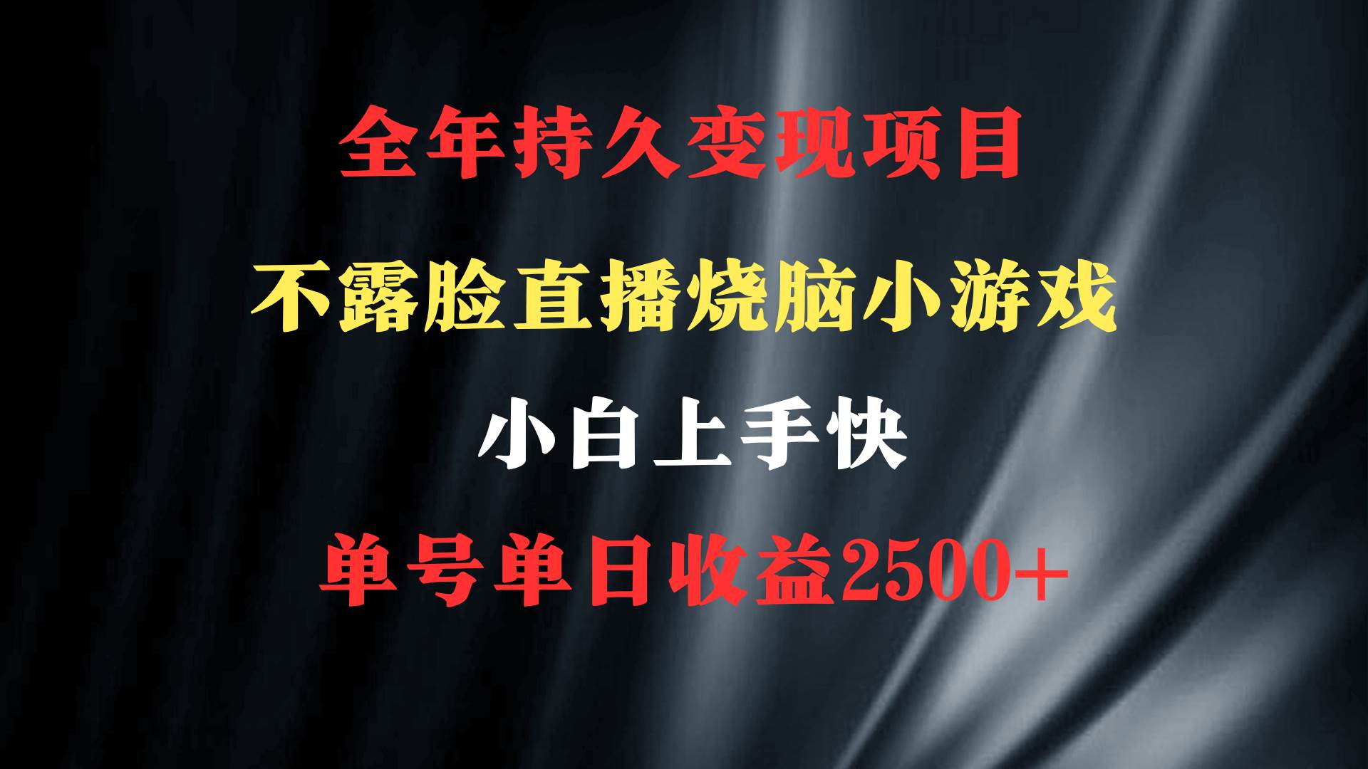 2024年 最优项目，烧脑小游戏不露脸直播  小白上手快 无门槛 一天收益2500+-刀客资源网
