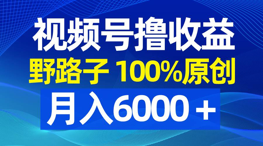 视频号野路子撸收益，100%原创，条条爆款，月入6000＋-刀客资源网