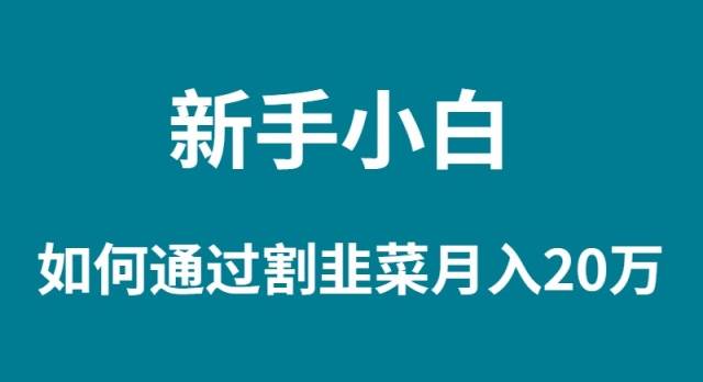 小白小白如何通过割韭菜月入 20W-刀客资源网