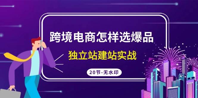 跨境电商怎样选爆品，独立站建站实战（20节高清无水印课）-刀客资源网