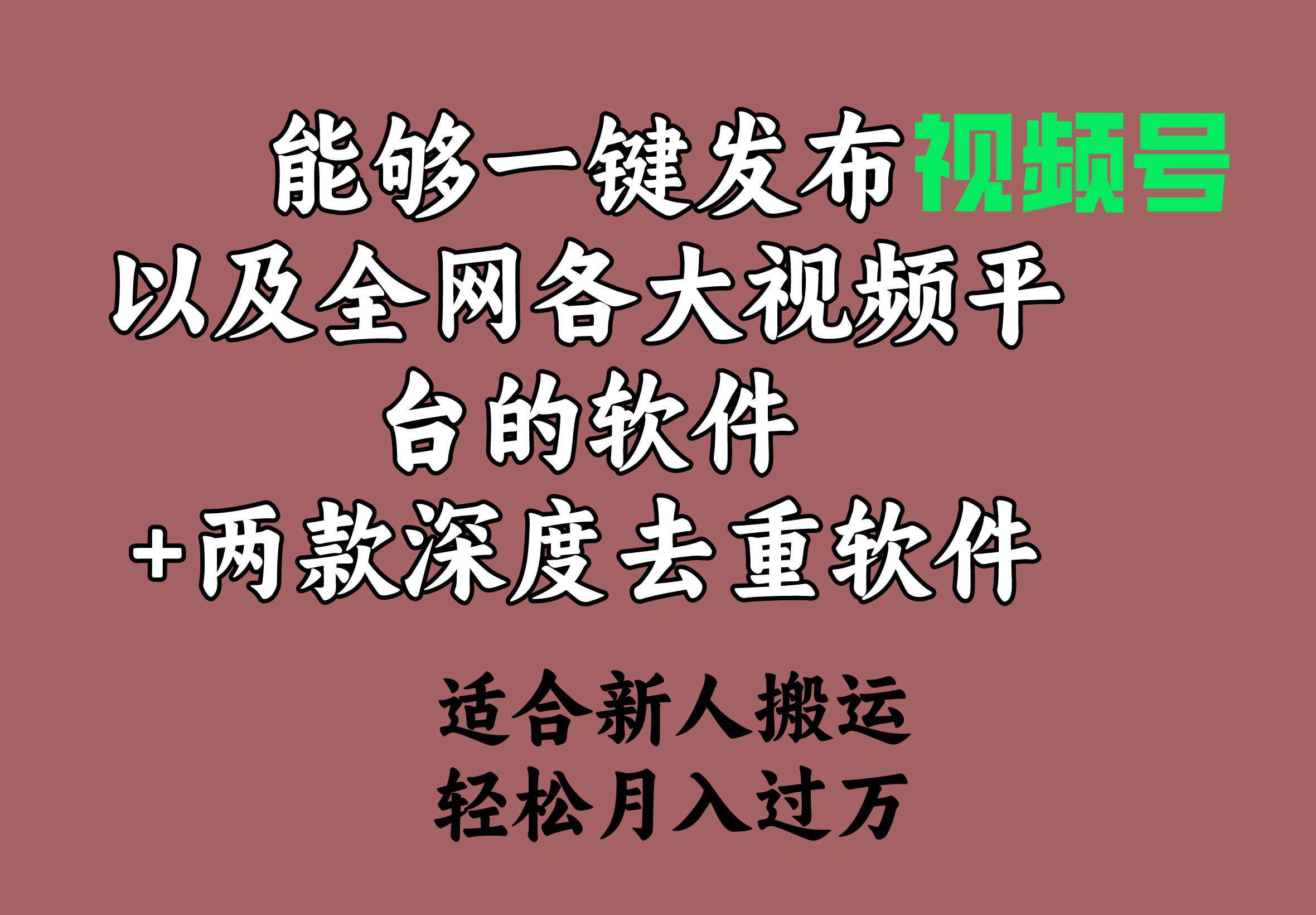 能够一键发布视频号以及全网各大视频平台的软件+两款深度去重软件 适合…-刀客资源网