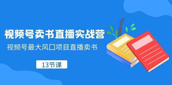 视频号-卖书直播实战营，视频号最大风囗项目直播卖书（13节课）-刀客资源网