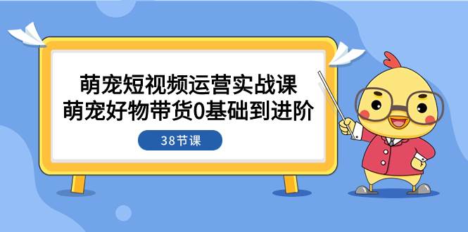 萌宠·短视频运营实战课：萌宠好物带货0基础到进阶（38节课）-刀客资源网