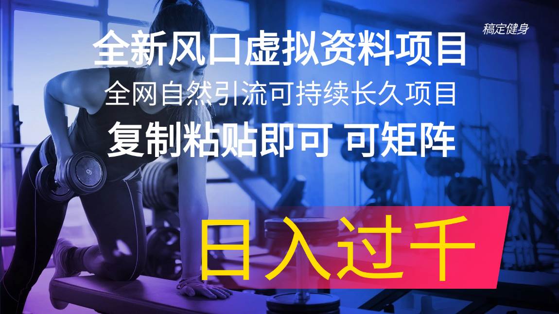 全新风口虚拟资料项目 全网自然引流可持续长久项目 复制粘贴即可可矩阵…-刀客资源网