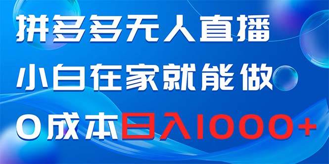 拼多多无人直播，小白在家就能做，0成本日入1000+-刀客资源网