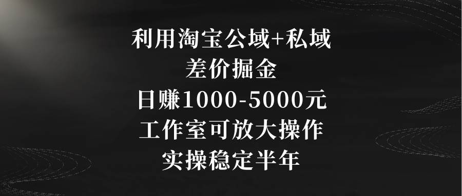 利用淘宝公域+私域差价掘金，日赚1000-5000元，工作室可放大操作，实操…-刀客资源网