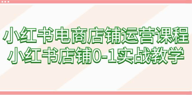 小红书电商店铺运营课程，小红书店铺0-1实战教学（60节课）-刀客资源网