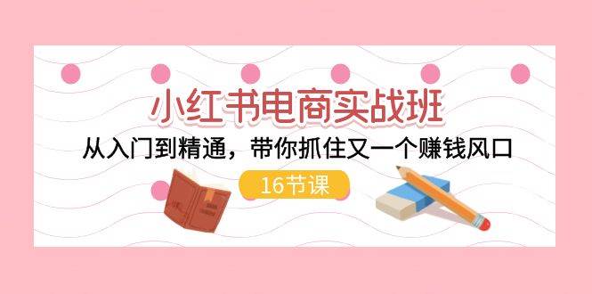 小红书电商实战班，从入门到精通，带你抓住又一个赚钱风口（16节）-刀客资源网