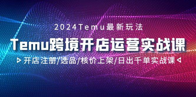 2024Temu跨境开店运营实战课，开店注册/选品/核价上架/日出千单实战课-刀客资源网