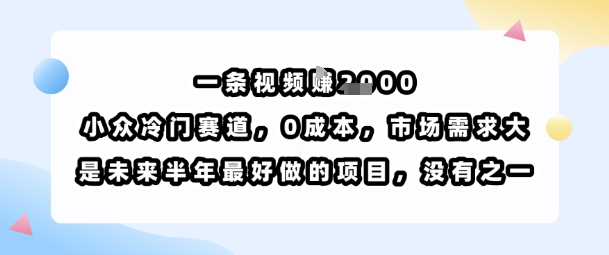 一条视频挣1k，小众冷门赛道，0成本，市场需求大，是未来半年最好做的项目，没有之一-刀客资源网