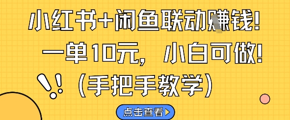 小红书+闲鱼联动挣钱，一单10元，小白可做-刀客资源网