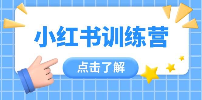 小红书训练营，助小白入门，掌握技巧变达人，课程实操又全面（12节课）-刀客资源网