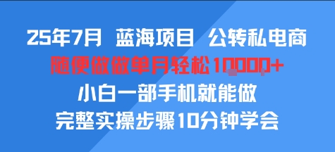 25年7月蓝海项目，公转私电商，随便做做单月轻松1w，小白一部手机就能做，完整实操步骤10分钟学会-刀客资源网