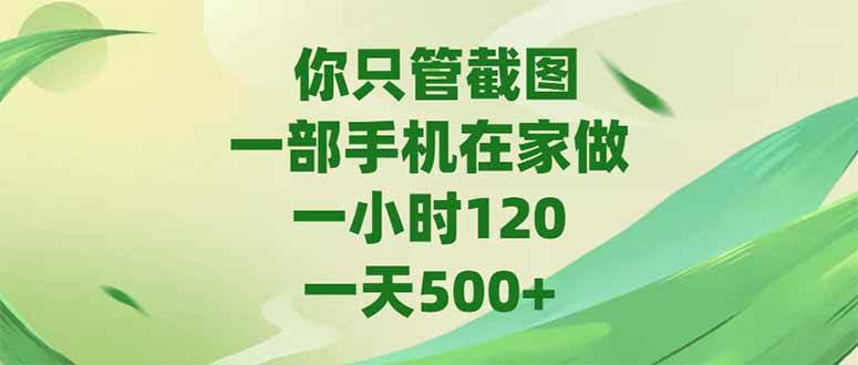 （15039期）你只管截图，一部手机在家做，一小时120，-天500+-刀客资源网