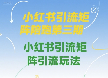 小红书引流矩阵陪跑第三期，小红书引流矩阵引流玩法-刀客资源网