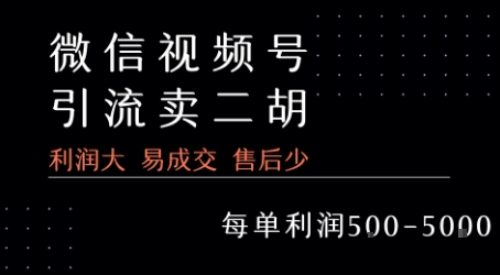 视频号卖二胡教程，利润大 易成交 售后少，一单利润5张+-刀客资源网