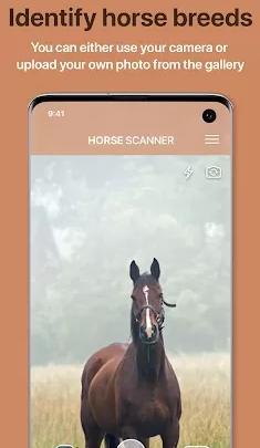 Horse Scanner 马鉴定器v12.1.0高级版-刀客资源网