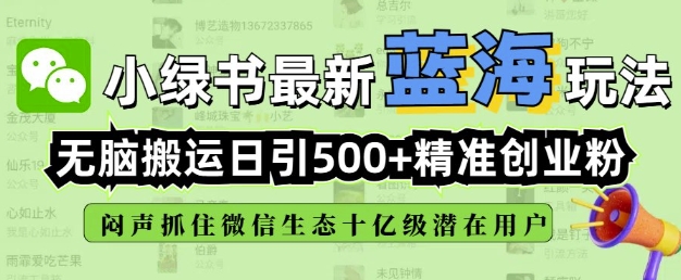 小绿书无脑搬运引流，全自动日引500精准创业粉，微信生态内又一个闷声发财的机会-刀客资源网