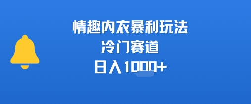 情趣内衣暴利玩法，冷门赛道，日入1k+-刀客资源网