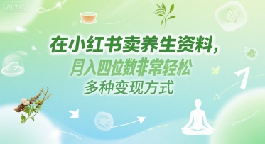 在小红书卖养生资料，月入四位数非常轻松，多种变现方式-刀客资源网