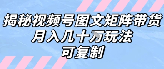解密视频号图文矩阵带货，月入几个W的打法，可复制-刀客资源网