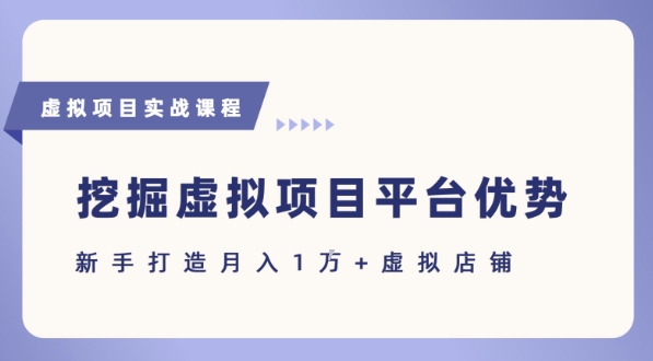 抓住虚拟项目各平台优势，新手轻松月入1W+(给出具体建议)-刀客资源网