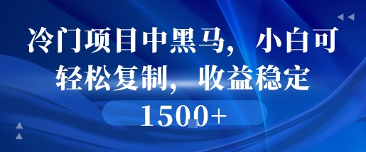 冷门项目中黑马，小白可轻松复制，收益稳定1.5k-刀客资源网