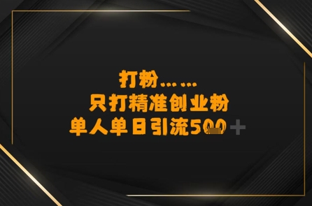 打粉只打精准创业粉，单人单日引流500+-刀客资源网