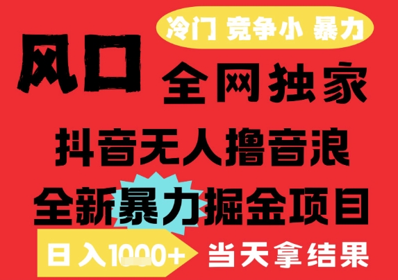 25年6月高爆抖音无人直播最新撸音浪掘金项目，解放双手小白可做，无脑日入1k+，门槛低【揭秘】-刀客资源网