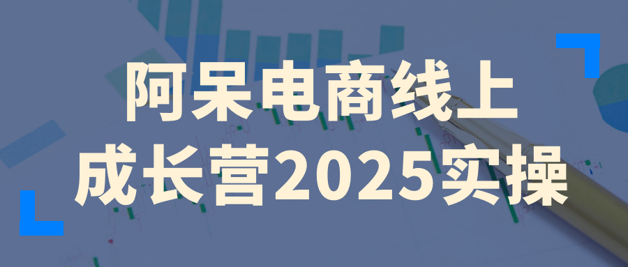 阿呆电商线上成长营2025实操-刀客资源网