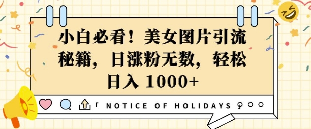 小白必看，美女图片引流秘籍，日涨粉无数，轻松日入几张【揭秘】-刀客资源网