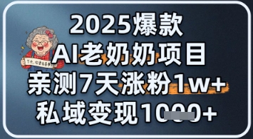 2025爆款 AI 老奶奶项目：亲测 7 天涨粉 1W+，私域变现 1k+-刀客资源网