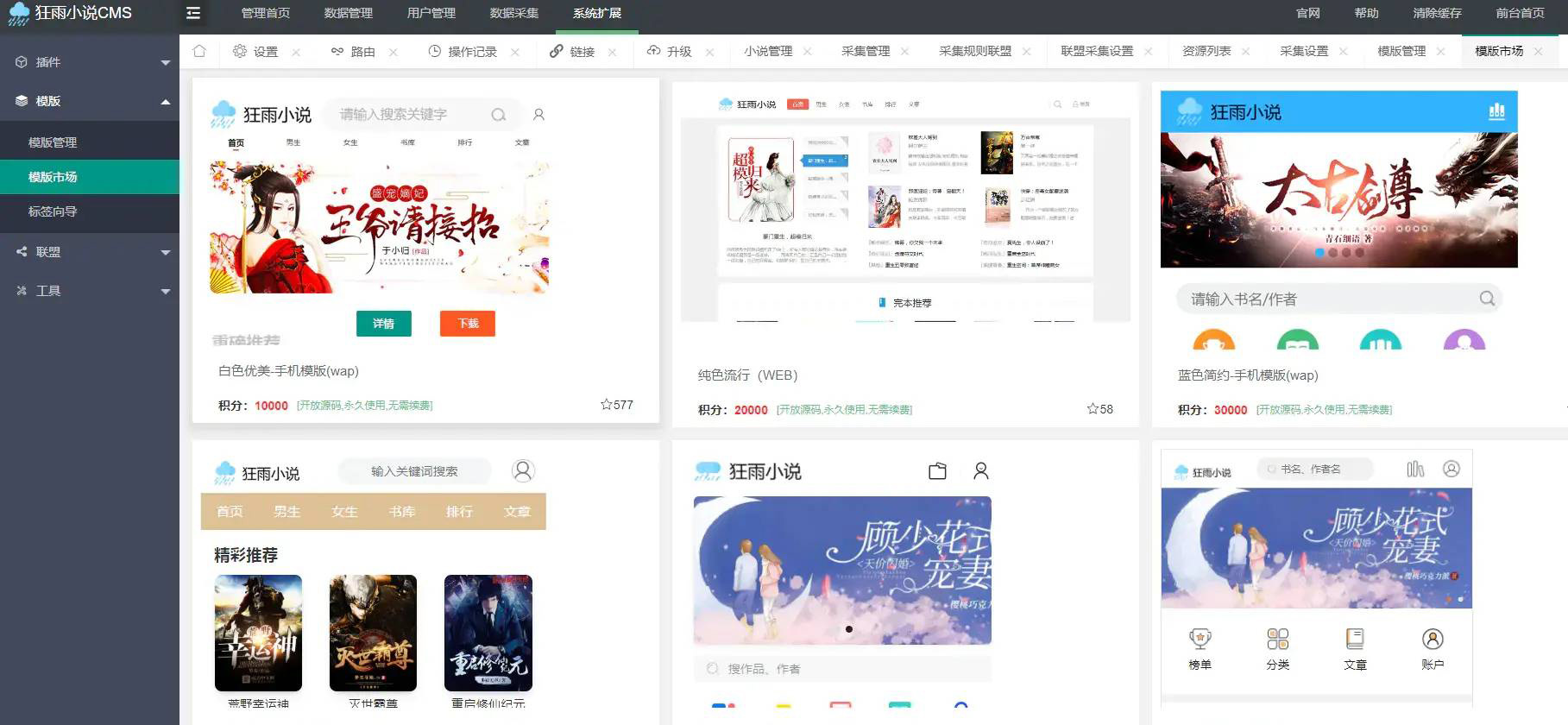狂雨小说网站开源源码 带联盟采集-刀客资源网