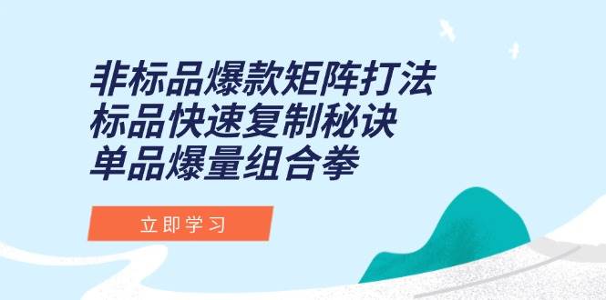 （15068期）非标品爆款矩阵打法，标品快速复制秘诀，单品爆量组合拳-刀客资源网
