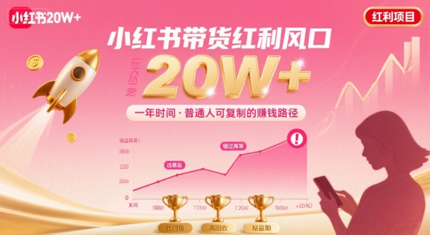 一年时间靠小红书带货项目年入20w+，最不能错的大红利项目-刀客资源网