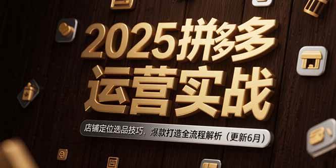（15235期）2025拼多多运营实战：店铺定位选品技巧，爆款打造全流程解析（更新6月）-刀客资源网