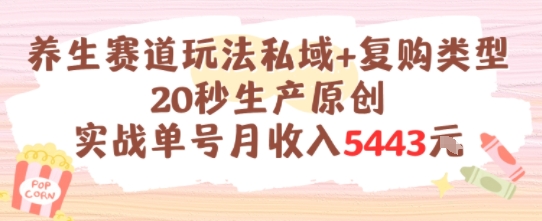 养生赛道玩法私域+复购类型，20秒生产原创实战单号月收入5k+-刀客资源网