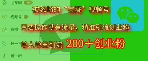 被忽略的“宝藏”视频号引流精准创业粉单人单日引流200+精准粉-刀客资源网
