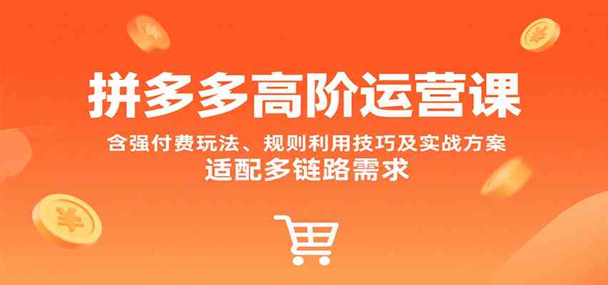 拼多多高阶运营课，含强付费玩法、规则利用技巧及实战方案，适配多链路需求-刀客资源网