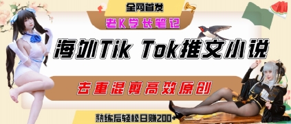 海外tiktok小说推文暴力项目，高停留率，高转化率，上手后一天搞顿饭钱不是问题-刀客资源网