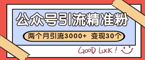公众号精准粉引流玩法，2个月3000+精准粉，变现30个W【揭秘】-刀客资源网