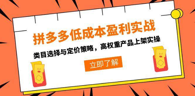 （15143期）拼多多低成本盈利实战，类目选择与定价策略，高权重产品上架实操-刀客资源网