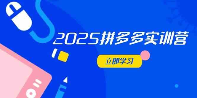2025拼多多实训营：深度剖析运营关键，助力电商人快速提升-刀客资源网