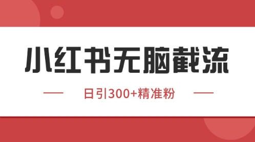 小红书只要你有同行就能获客，独家野路子获客玩法，暴力截流【揭秘】-刀客资源网
