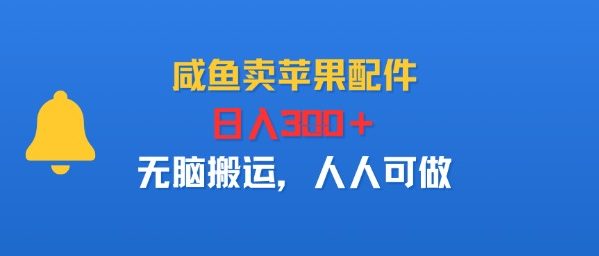 咸鱼卖苹果配件，日入3张+，无脑搬运，人人可做-刀客资源网
