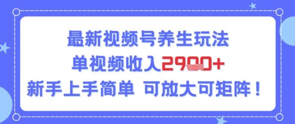 视频号养生玩法，单视频收入2.9k，新手上手简单-刀客资源网