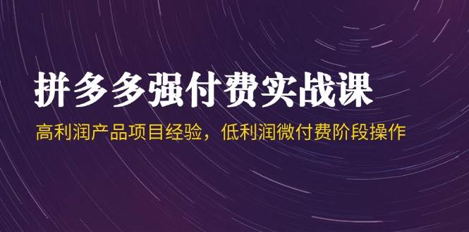 （14874期）拼多多强付费实战课-44期，高利润产品项目经验，低利润微付费阶段操作-刀客资源网