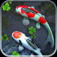 Water Garden Live Wallpaper 锦鲤3D动态壁纸v1.99专业版-刀客资源网